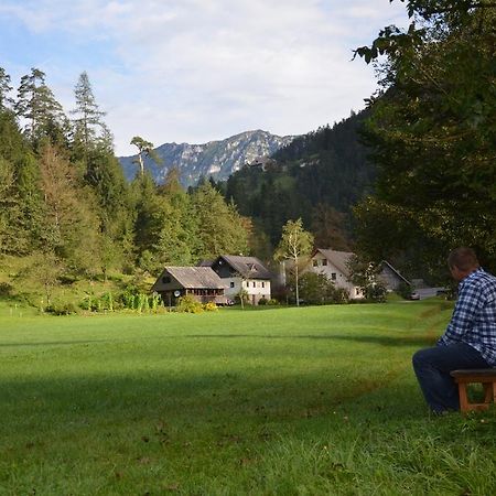 The Farmhouse Bevsek Osep Solcava Bagian luar foto
