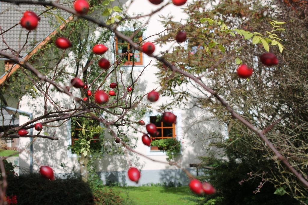 The Farmhouse Bevsek Osep Solcava Bagian luar foto